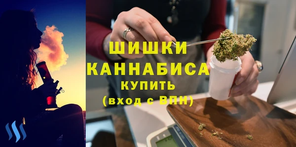 МДПВ Богородицк