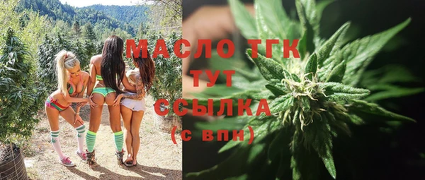 мдпв Богородск