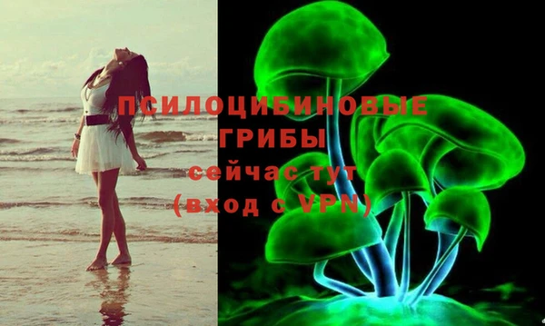 МДПВ Богородицк