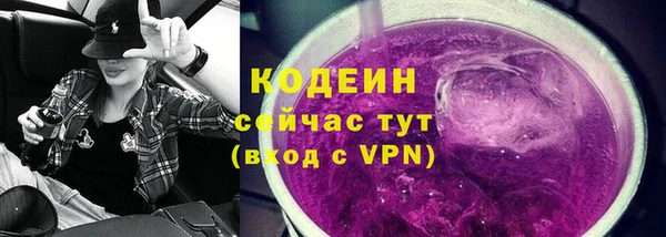 спиды Богданович
