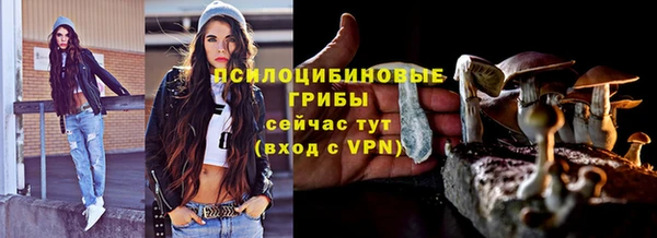 мдпв Богородск