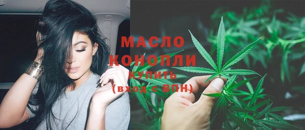 мдпв Богородск