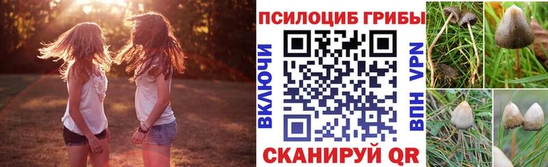 Галлюциногенные грибы мицелий  kraken маркетплейс  Данков  что такое наркотик 